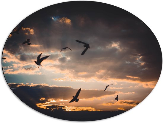 WallClassics - Dibond Ovaal - Vogels in de Lucht bij Zonsondergang - 80x60 cm Foto op Ovaal (Met Ophangsysteem)