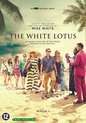 The White Lotus - Saison 1 (DVD)