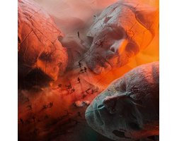Muse - Will Of The People (LP)