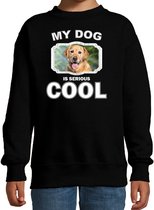 Golden retriever honden trui / sweater my dog is serious cool zwart - kinderen - Golden retrievers liefhebber cadeau sweaters - kinderkleding / kleding 134/146