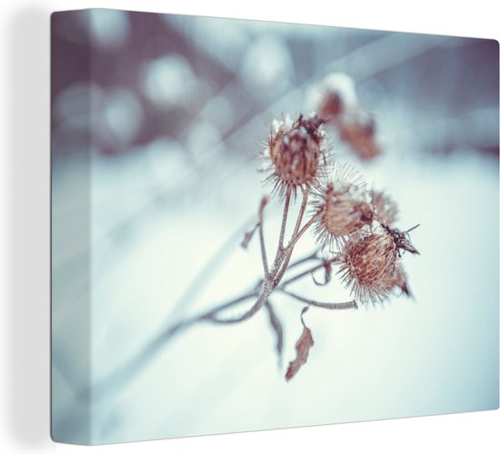 Canvas Schilderij Planten - Winter - Sneeuw - Natuur - 120x90 cm - Wanddecoratie