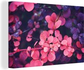 Canvas Schilderij Bloemen - Paars - Natuur - 90x60 cm - Wanddecoratie