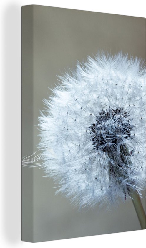 Canvas Schilderij Paardenbloem - Bloem - Plant - 40x60 cm - Wanddecoratie