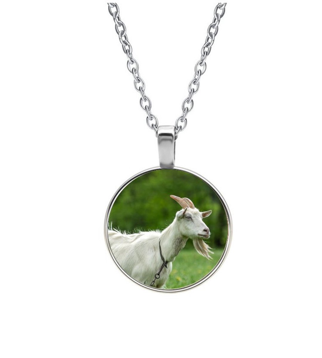 Ketting Glas - Geit