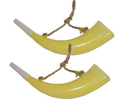 Jachthoorn toeter voor Oktoberfest/Alpen - Multipak van 2x stuks - plastic - 30 cm - feestartikelen