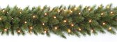 Triumph Tree Forest Frosted Guirlande met LED Verlichting - L180 cm - Groen