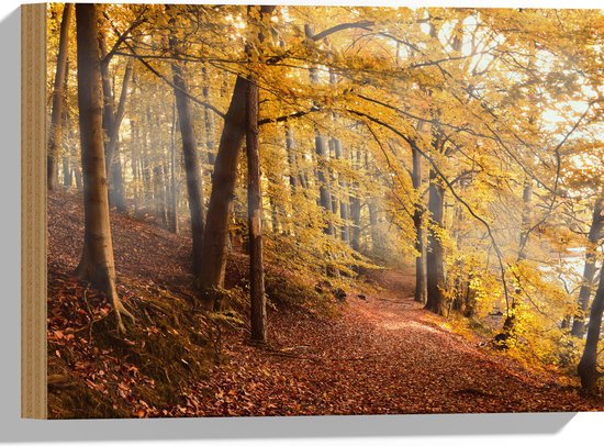 WallClassics - Hout - Zonnestralen tussen Herfstbos - 40x30 cm - 12 mm dik - Foto op Hout (Met Ophangsysteem)