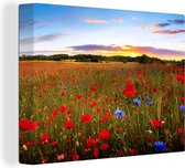 Tableau sur toile Fleurs - Coucher de soleil - Couleurs - 40x30 cm - Décoration murale