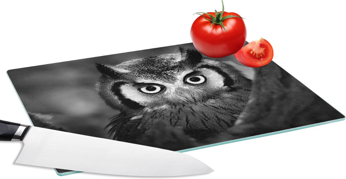 Glazen Snijplank - 28x20 - Vogel - Uil - Portret- Zwart - Wit - Snijplanken Glas