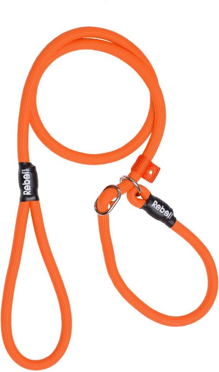 Rebel Petz - Honden Trainingslijn met Halsband Oranje Large