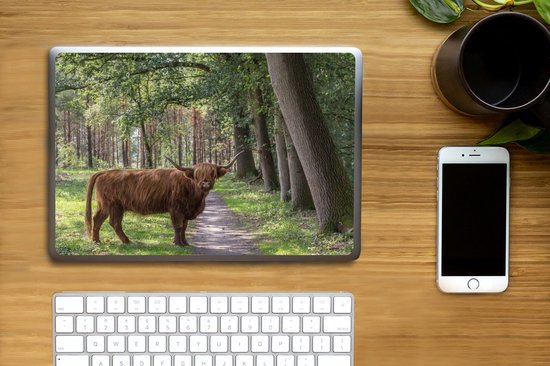 Autocollant pour ordinateur portable - 10,1 pouces - Highlander écossais - Crapaud - Arbre - 25x18cm - Autocollants pour ordinateur portable - Peau pour ordinateur portable - Couverture