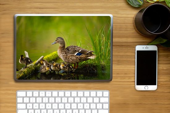 Laptop sticker - 14 inch - Eend - Vogels - Water - Tak - Mos - 32x5x23x5cm - Laptopstickers - Laptop skin - Cover
