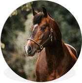 WallCircle - Wandcirkel ⌀ 90 - Paard - Takken - Portret - Ronde schilderijen woonkamer - Wandbord rond - Muurdecoratie cirkel - Kamer decoratie binnen - Wanddecoratie muurcirkel - Woonaccessoires
