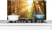 Spatscherm keuken 100x50 cm - Kookplaat achterwand Bos - Herfst - Zon - Landschap - Natuur - Bomen - Bladeren - Muurbeschermer - Spatwand fornuis - Hoogwaardig aluminium