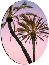 WallClassics - Dibond Ovaal - Twee Palmbomen bij Roze-Blauwe Lucht - 30x40 cm Foto op Ovaal (Met Ophangsysteem)