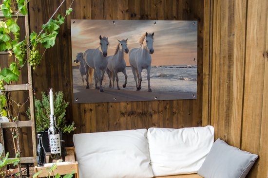 Affiche de jardin Paarden - Soleil - Plage - Mer - 120x80 cm - Jardin