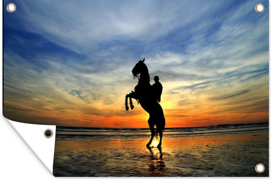 Silhouette d'un cavalier sur un cheval au coucher du soleil affiche de jardin toile en vrac 60x40 cm - petit - toile de jardin / toile d'extérieur / Peintures pour l'extérieur (décoration de jardin)