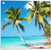 WallClassics - Tuinposter – Tropisch Strand met Palm Bomen - 50x50 cm Foto op Tuinposter  (wanddecoratie voor buiten en binnen)