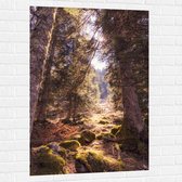 WallClassics - Muursticker - Lumière Douce dans la Forêt Verte - 80x120 cm Photo sur Muursticker