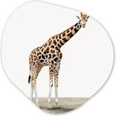 Organische Wanddecoratie - Kunststof Muurdecoratie- Organisch Schilderij - Giraffe - Dieren - Witte achtergrond - Kinderen - Jongen - Meisje- 40x40 cm - Asymmetrische spiegel vorm op kunststof
