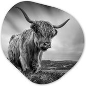 Organische Wanddecoratie - Kunststof Muurdecoratie- Organisch Schilderij - Koeien - Schotse hooglander - Natuur - Dieren- 60x60 cm - Organische spiegel vorm op kunststof