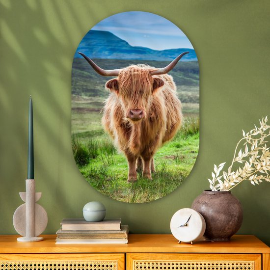 Ovale Mural - Décoration murale Plastique - Peinture Ovale - Highlander écossais - Vache - Nature - Berg - Herbe - 60x90 cm - Forme miroir ovale sur plastique