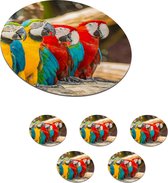 Onderzetters voor glazen - Rond - Vogels - Papegaai - Tropisch - Natuur - 10x10 cm - Glasonderzetters - 6 stuks