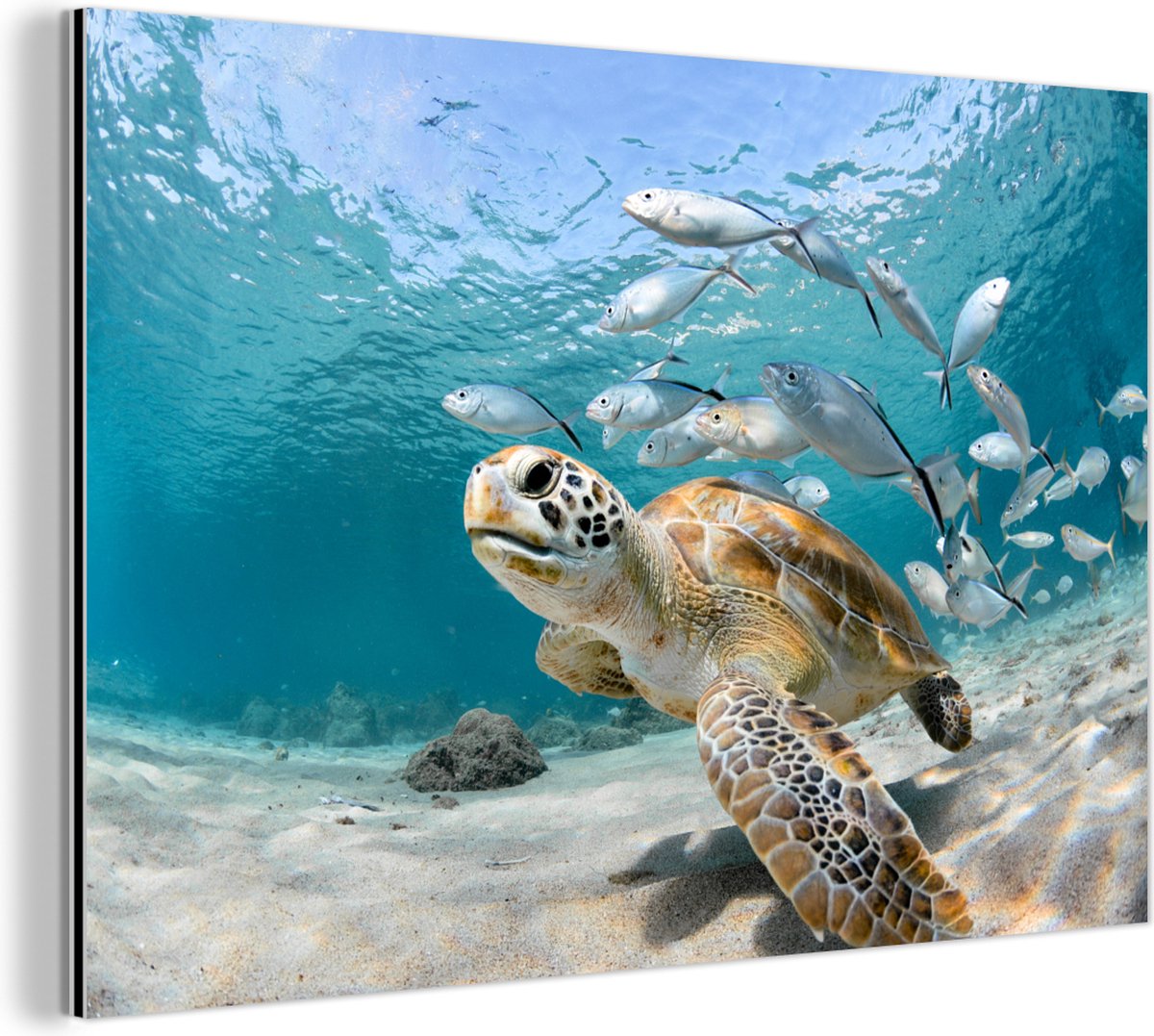 Décoration murale de poisson en métal, art mural - Ubuy