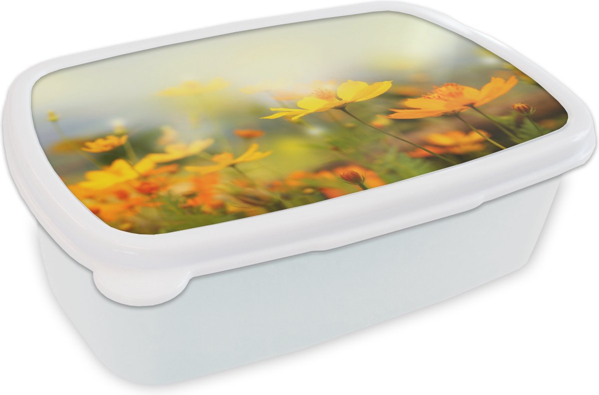 Broodtrommel Wit - Lunchbox - Brooddoos - Bloemen - Landschap - Geel - 18x12x6 cm - Volwassenen