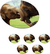 Sous-verres pour verres - Ronds - Éléphants - Animaux - Tronc - 10x10 cm - Sous-verres en verre - 6 pièces