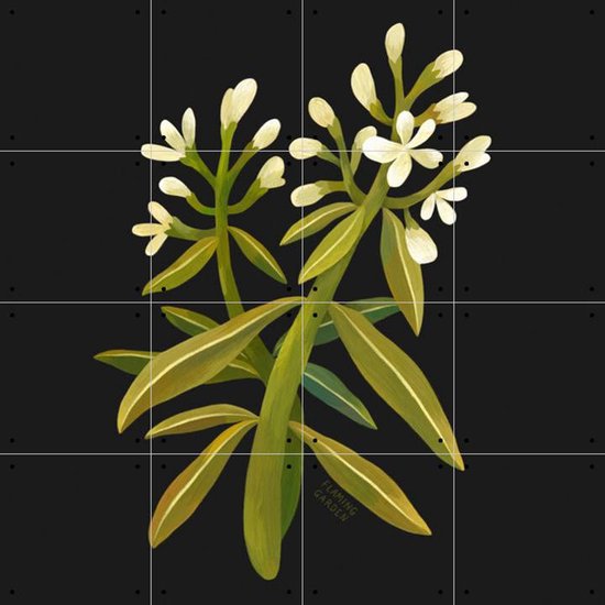 IXXI White Flower - Wanddecoratie - Bloemen en Planten - 80 x 80 cm