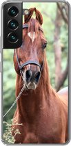 Geschikt voor Samsung Galaxy S22 hoesje - Paard - Bos - Halster - Siliconen Telefoonhoesje