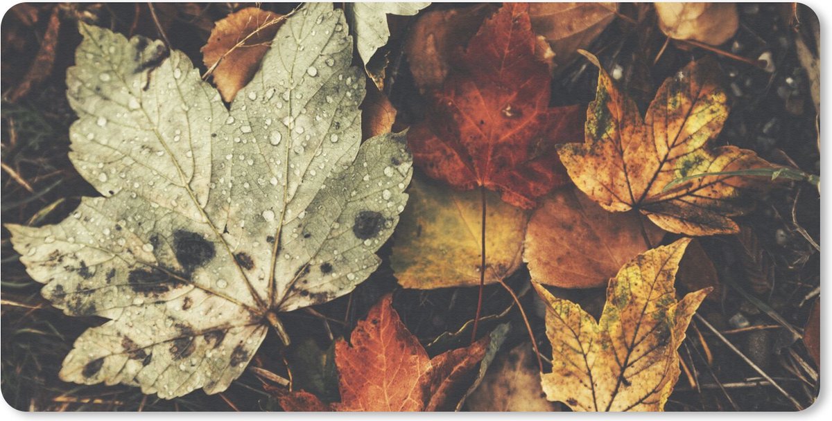 Bureauonderlegger - Herfstbladeren - Herfst - Seizoenen - Natuur - 60x30 - Muismat