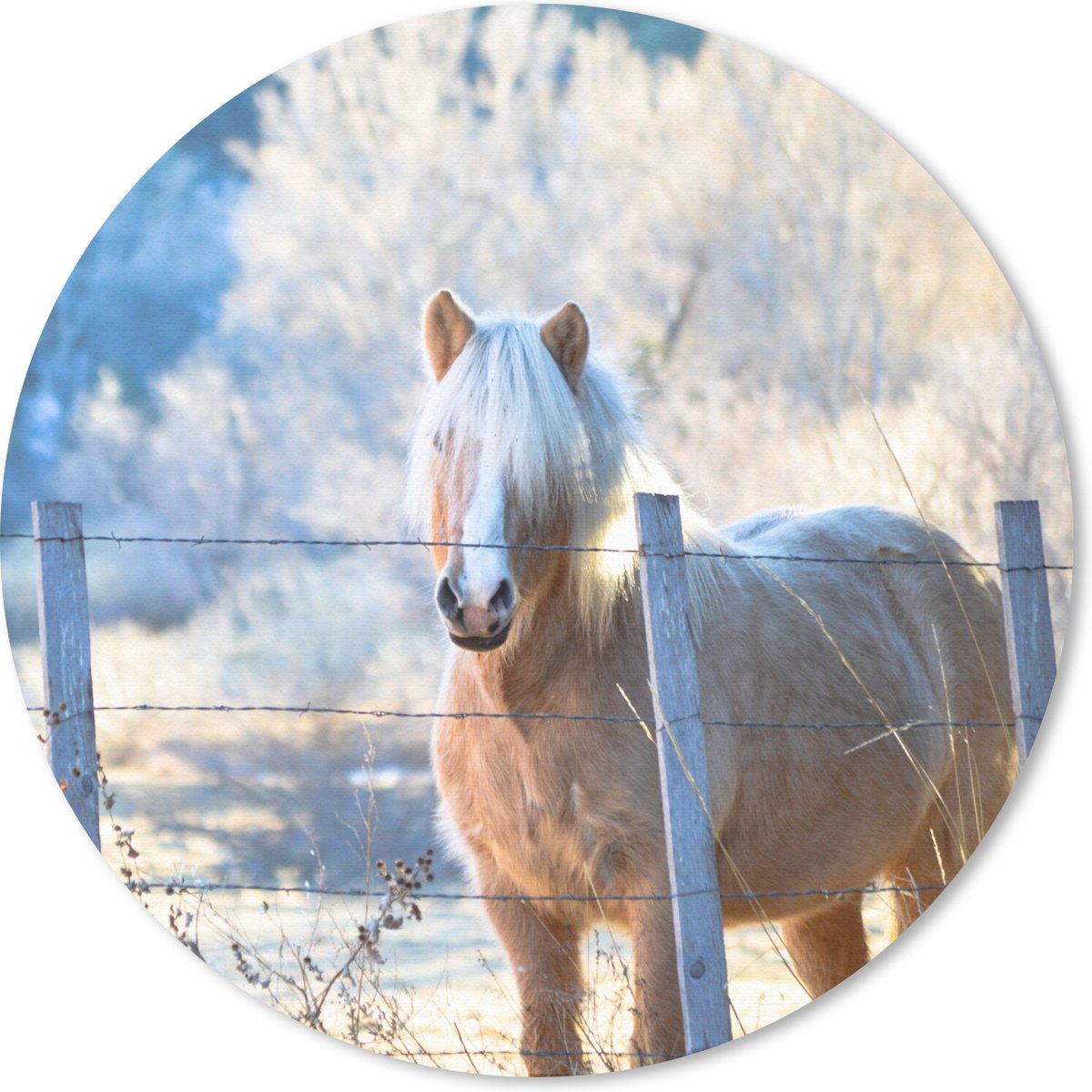 Muismat - Mousepad - Rond - Paard - Winter - Sneeuw - 40x40 cm - Ronde muismat