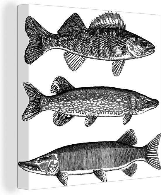 Canvas Schilderij Een illustratie van drie vissen - 90x90 cm - Wanddecoratie