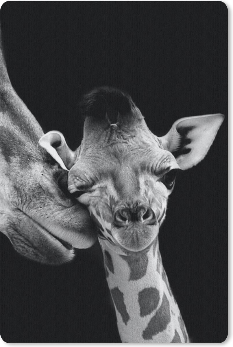 Muismat 18x27 cm - Mousepad Dieren - Zwart - Wit - Giraffe - Portret - Muismatten