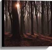 WallClassics - Toile - Soleil dans la forêt d'automne - 40x40 cm Tableau sur toile (Décoration murale sur toile)