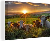 Vaches en Irlande sur toile 2cm 90x60 cm - Tirage photo sur toile (Décoration murale salon / chambre)