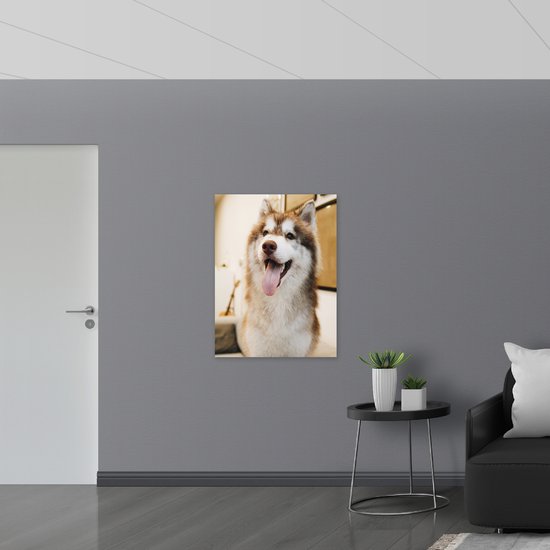 WallClassics - Drapeau - Husky Marron/ Witte avec Langue Dépassée - 75x100 cm Photo sur Drapeau Polyester