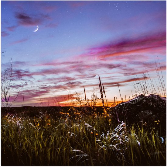 WallClassics - Poster (Mat) - Roze Wolken in de Lucht - 100x100 cm Foto op Posterpapier met een Matte look