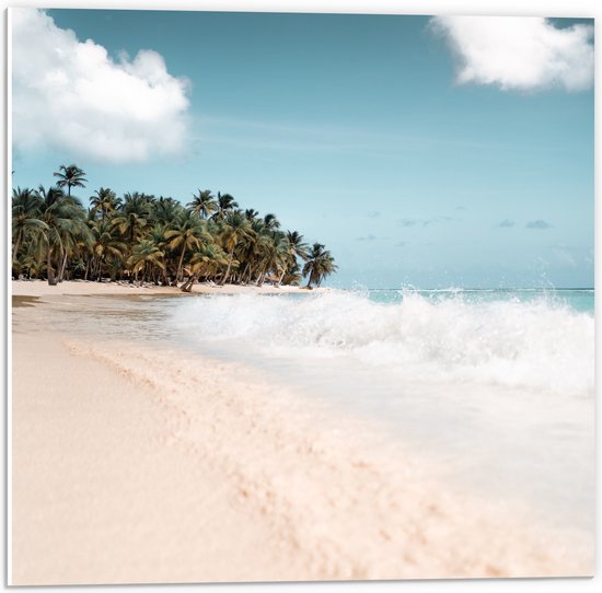 WallClassics - PVC Schuimplaat- Govlen op een Tropisch Strand - 50x50 cm Foto op PVC Schuimplaat