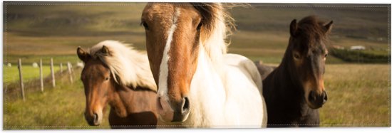 WallClassics - Vlag - Drie Paarden op een Heuvel - 60x20 cm Foto op Polyester Vlag