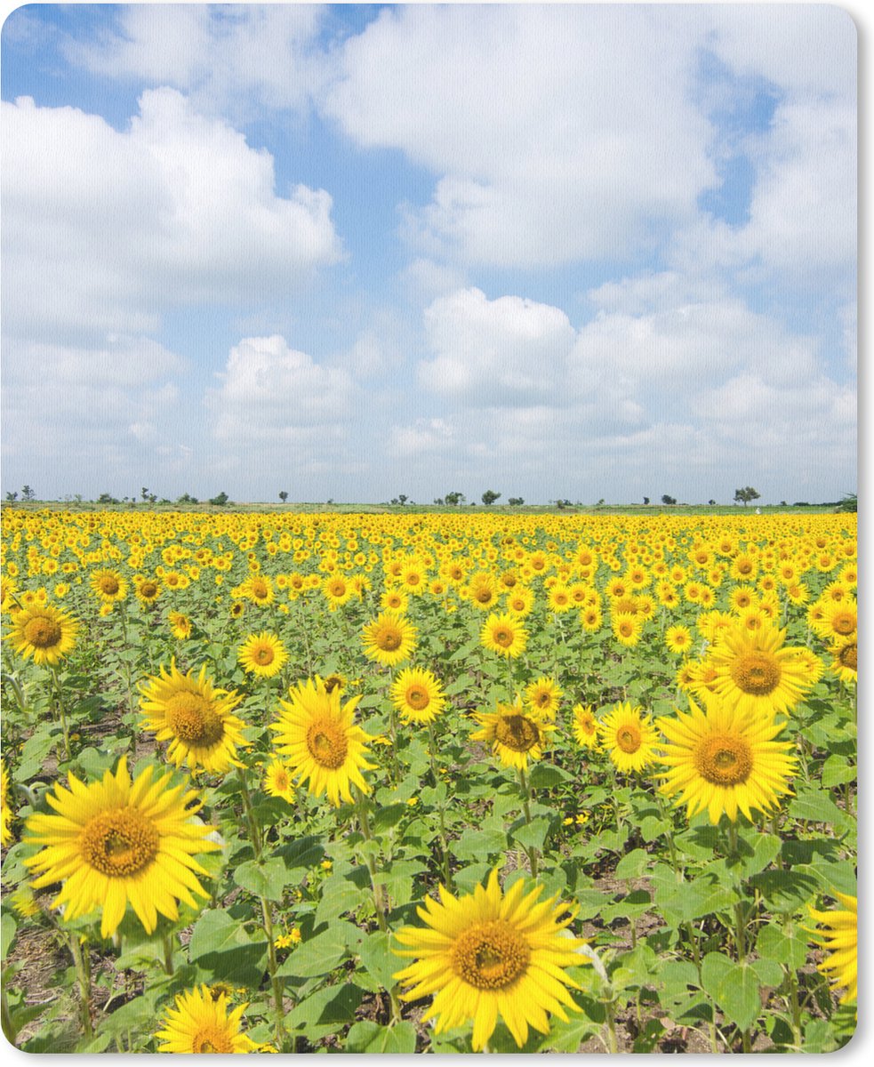 Muismat Groot - Zonnebloemen - Bloemen - Wolken - Natuur - Geel - Landschap - 30x40 cm - Mousepad - Muismat
