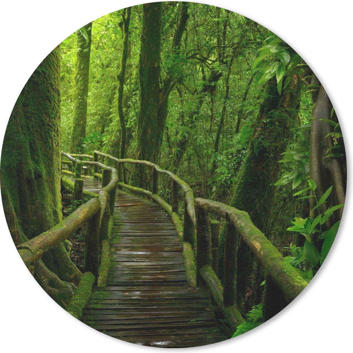 Muismat rond 20x20 cm - Mousepad Jungle - Brug - Mos - Natuur - Tropisch - Ronde muismatten