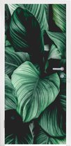 Deursticker Jungle - Bladeren - Tropisch - Planten - Natuur - 85x205 cm - Deurposter