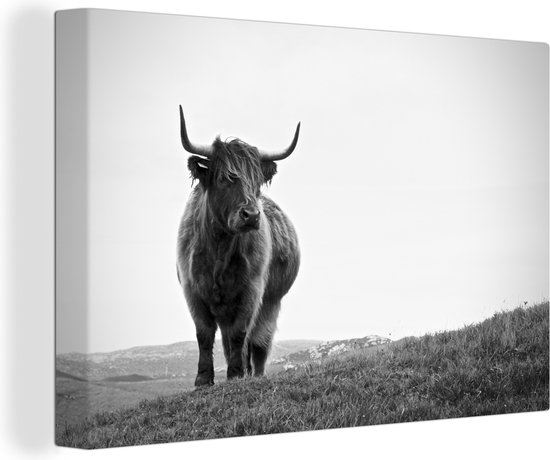 Canvas - Dieren - Schotse hooglander - Koe - Gras - Natuur - Woonkamer - Canvas schilderij - 90x60 cm - Woondecoratie - Canvas doek