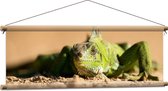 WallClassics - Affiche textile - Iguane vert dans le Sable - Photo sur textile 90x30 cm