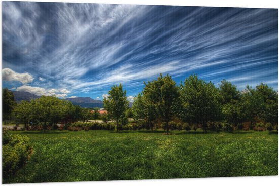 WallClassics - Vlag - Landschap van Gras en Bomen - 120x80 cm Foto op Polyester Vlag
