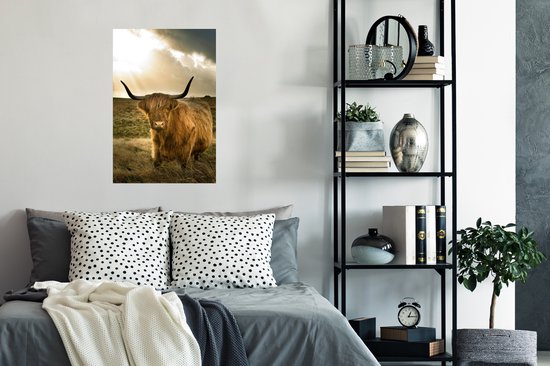 Affiche Highlander écossais - Soleil - Animaux - 60x90 cm