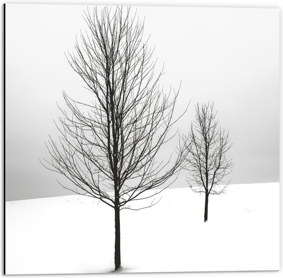 WallClassics - Dibond - Twee Kale Bomen in Sneeuwlandschap - 50x50 cm Foto op Aluminium (Met Ophangsysteem)